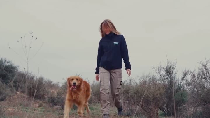 Paula Nuévalos, @agropauli, camina por el monte con su perro